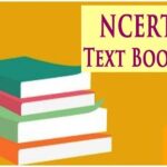 Significance of NCERT Books in CBSE Board Exams