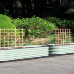 Can Raised Garden Beds Compete With Traditional Garden Beds?
