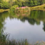 Unlocking the Secrets to Successful Private Lake Management