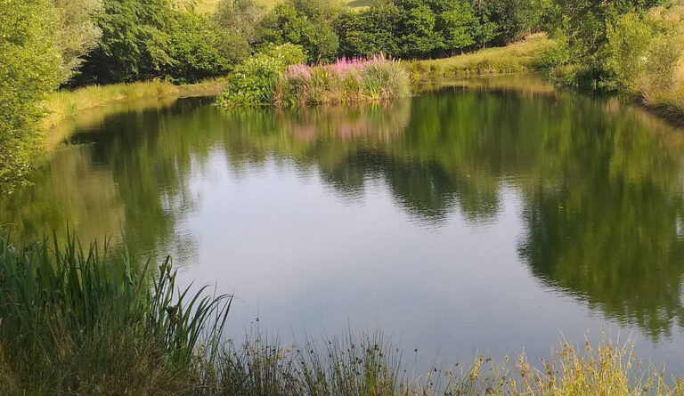 Unlocking the Secrets to Successful Private Lake Management